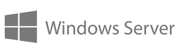 Windows Server Logo